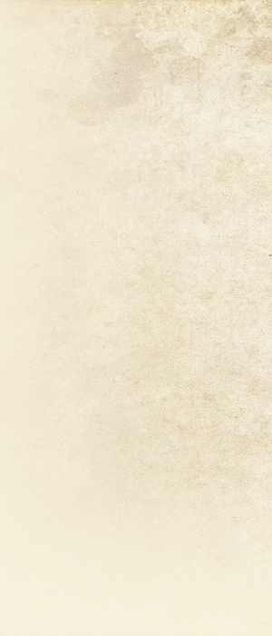 Background left 1ec41f4f0d34b983a8bb4eb6d434490a96b355f8c46e09edb09ec946ff129c8e