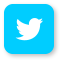 Social icon 2022 twitter 440c5628f090bec878546d8146ec607e07f1ef14489cf27c9861da2bc25a470c